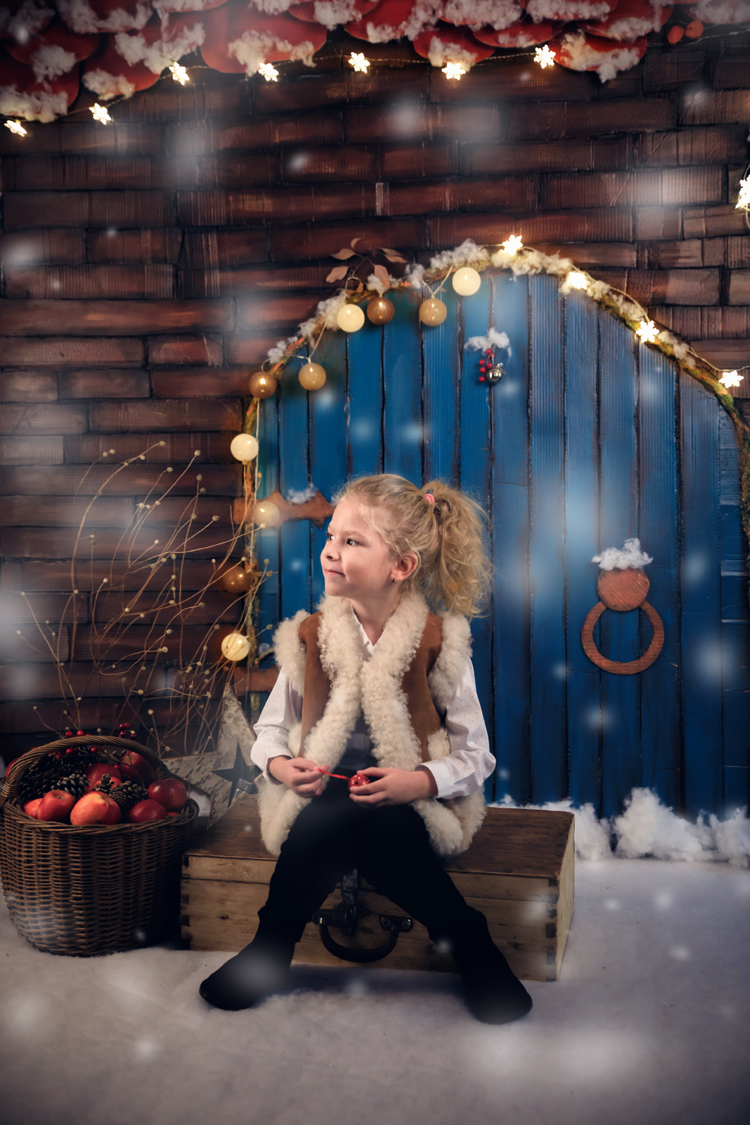 Studio foto decor craciun0171